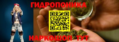 сатива Кулебаки