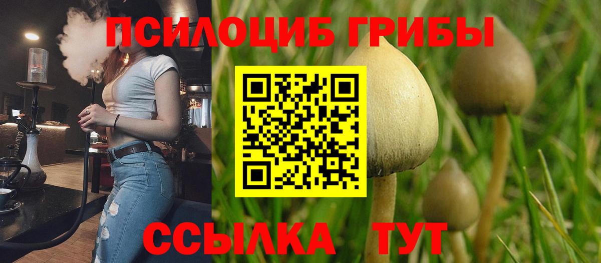 Златоуст  Псилоцибиновые грибы GOLDEN TEACHER  Псилоцибиновые грибы прущие грибы  Вход с VPN 