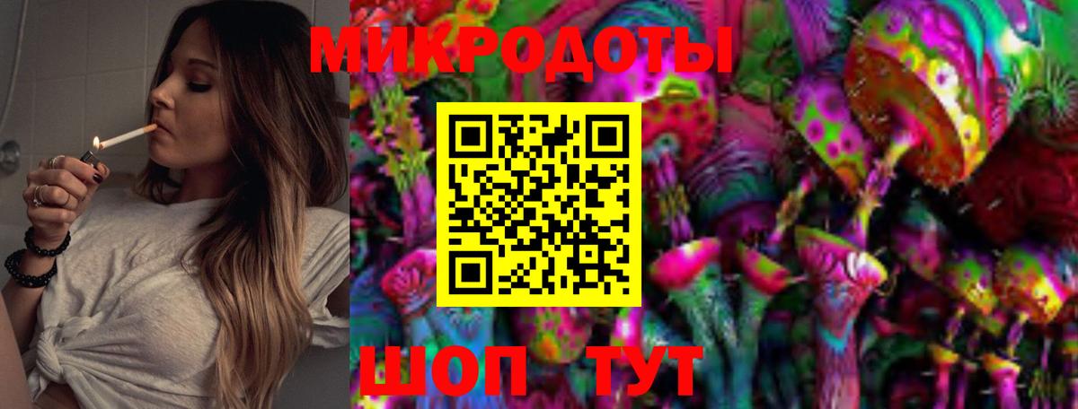 Галлюциногенные грибы Psilocybe Златоуст